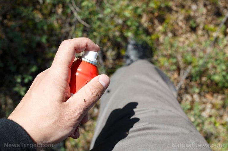 3 Allnatural insect repellents that you can make at home